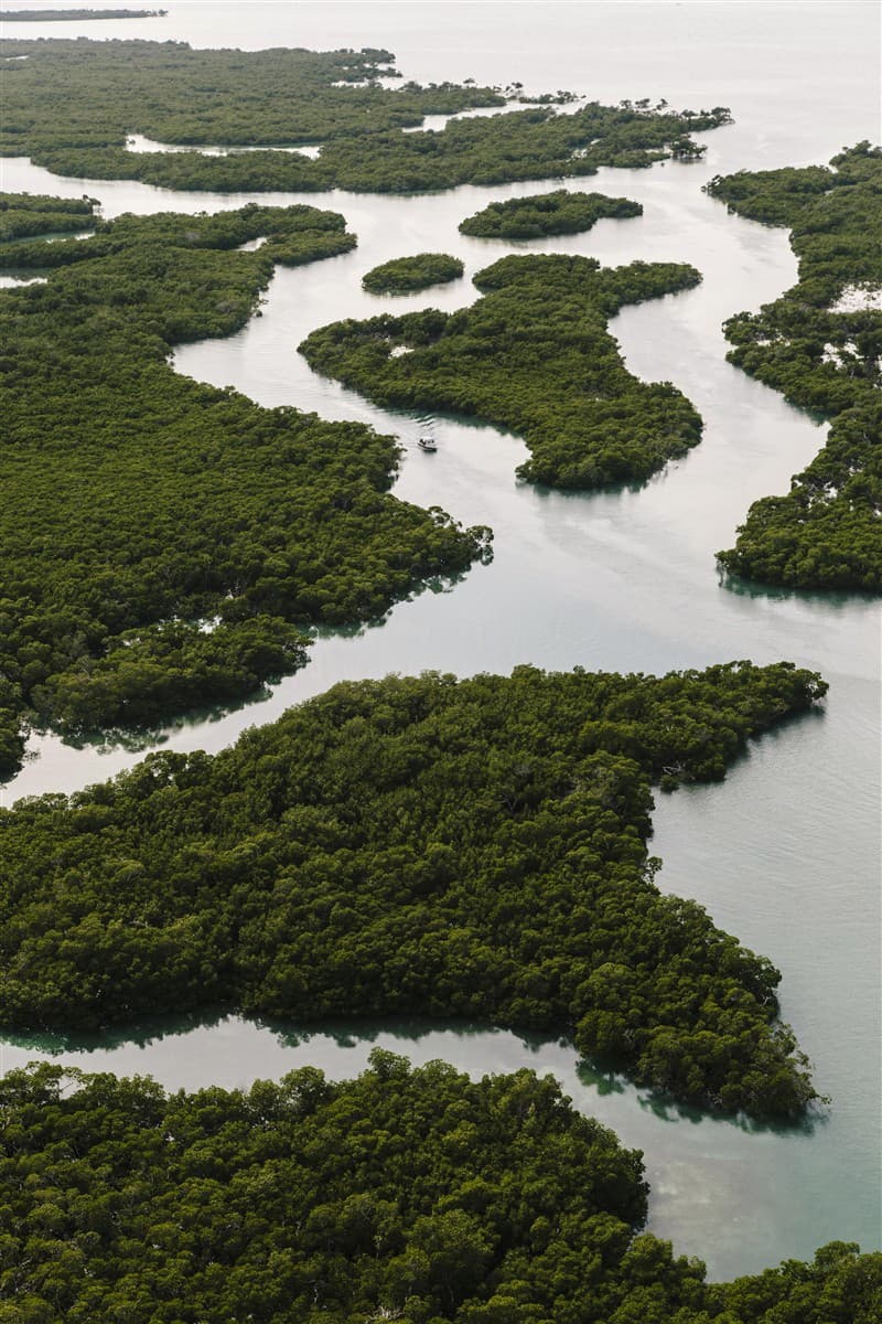 Parc national des Everglades