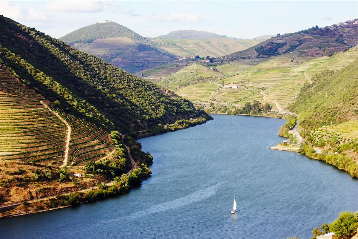 Paysage de la vallée du Douro
