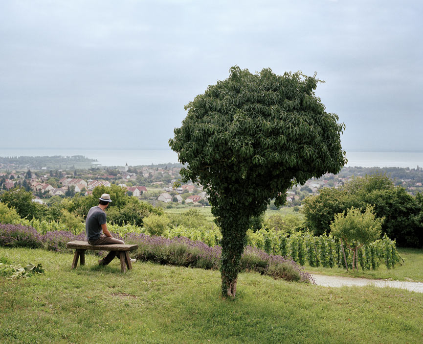 Paysage du Lac Balaton