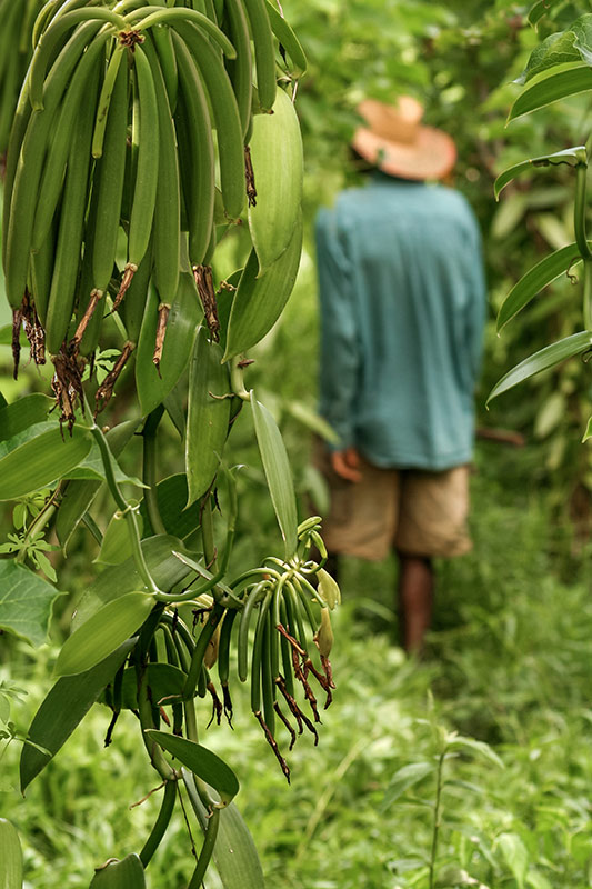 paysan à Madagascar