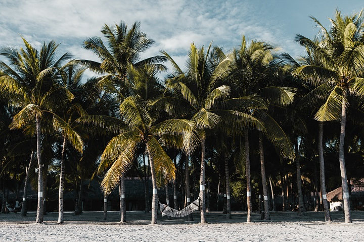 Jolie plage des Philippines