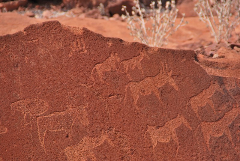 Les pétroglyphes de Twyfelfontein