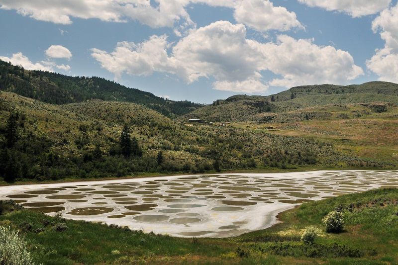 Spotted Lake en Colombie-Britannique