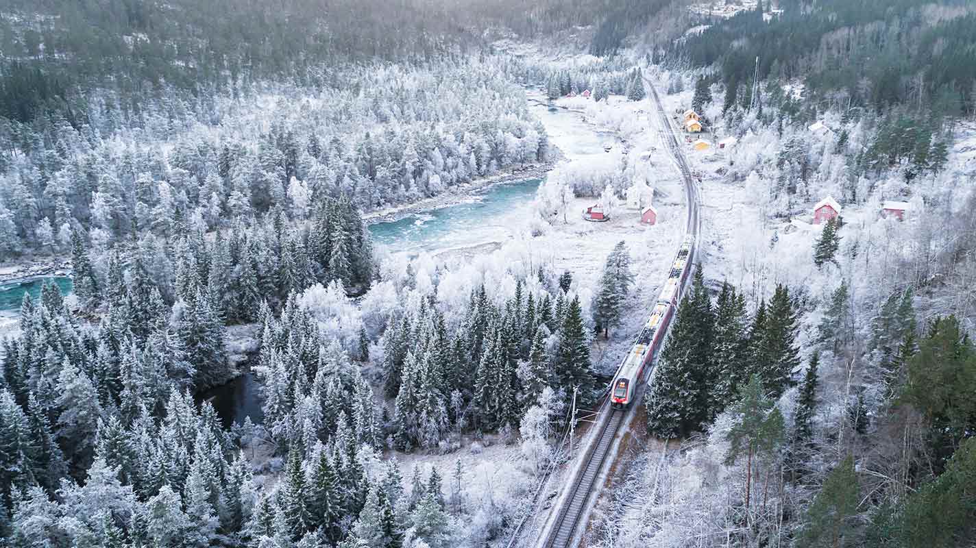 train dans la foret en Norvège