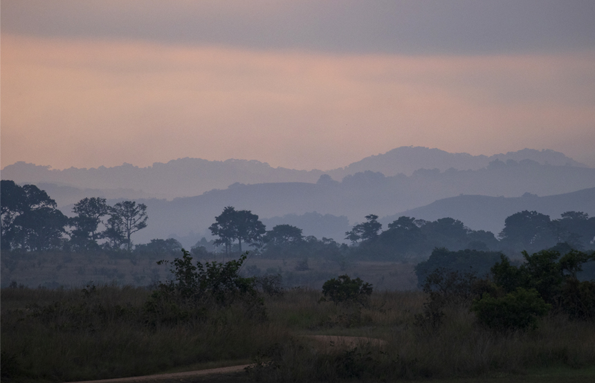 Le Gabon, dernier Éden africain ?