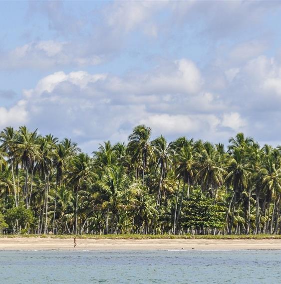Les plus belles plages de Salvador da Bahia