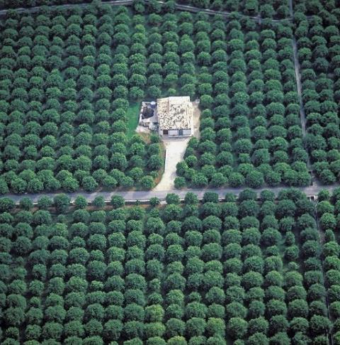 Les plus beaux agritourismes de Sicile