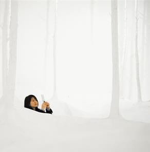 Beautés éphémères : Le Japon de l’art