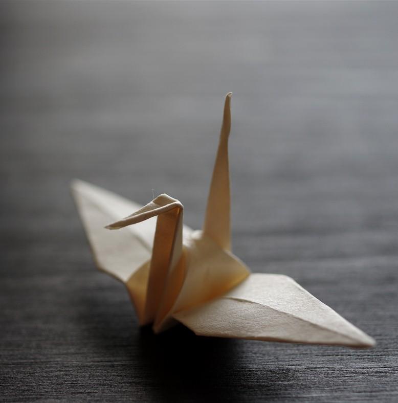 Le Japon, empire du mignon