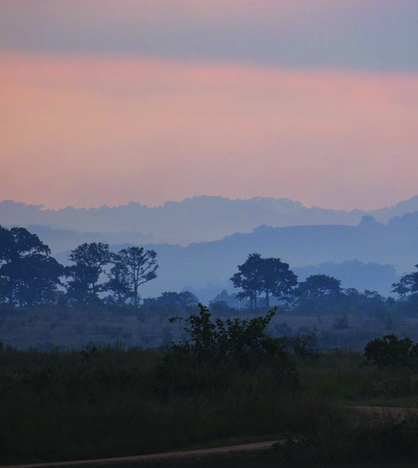 Le Gabon, dernier Éden africain ?