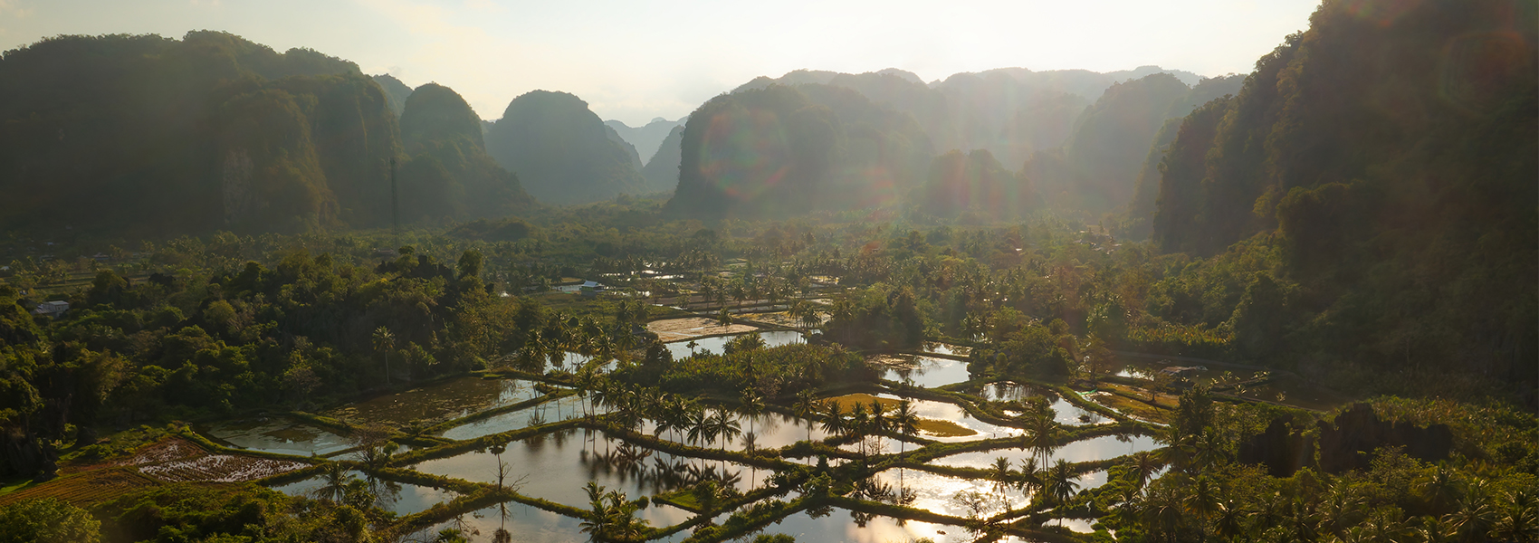 Sulawesi : des rites toraja aux premières images de l’humanité