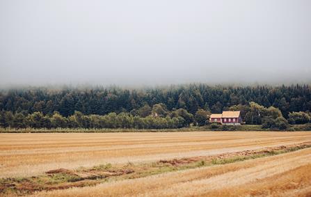 Le Québec alternatif