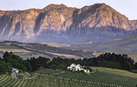 Vins d’Afrique du Sud : une route à mémoire de France