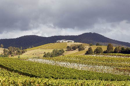 Les vins d’Oz - Sur la route des vins en Australie
