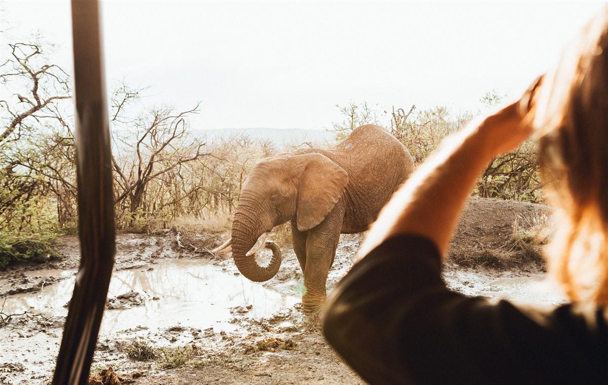 A voir en Afrique du Sud avant qu'il ne soit trop tard