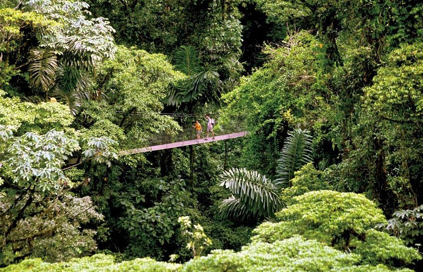 Ce que nos concierges font pour vous au Costa Rica