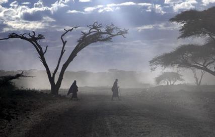 Les plus belles réserves de Tanzanie